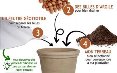 Une plantation en pot dans les règles de l’art