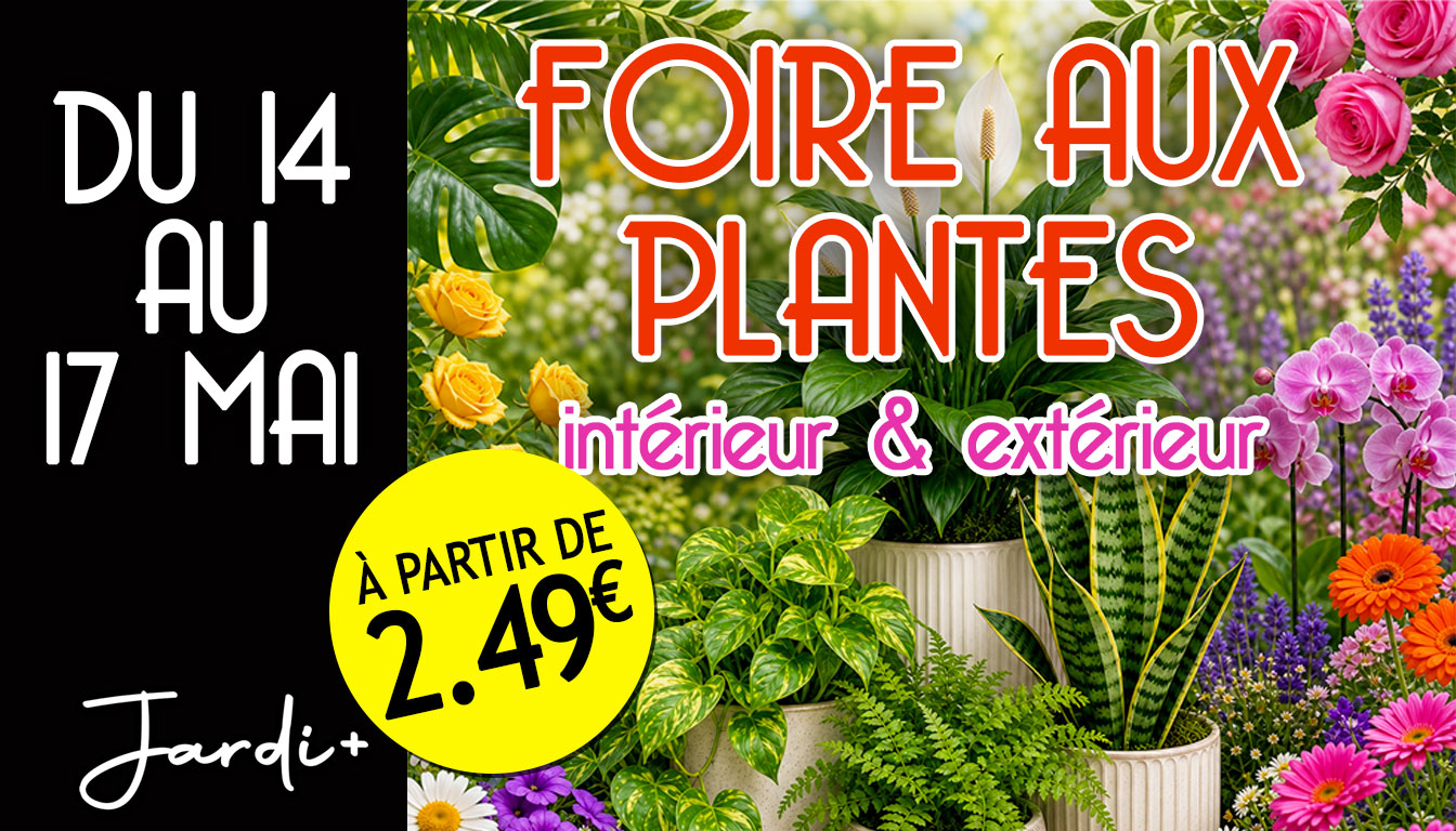foire-aux-plantes-mai-2026 La Maison du Père Noël JARDI+